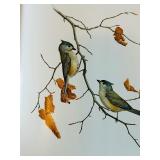 Birds of the Northern Forest 3-Volume Book Set by J.F. Lansdowne and John A. Livingston Birds of the Northern Forest 3-Volume Book Set by J.F. Lansdowne and John A. Livingston