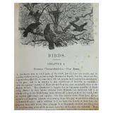 12-Volume Set: The New Natural History Illustrated Vintage Books 12-Volume Set: The New Natural History Illustrated Vintage Books