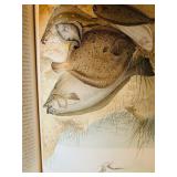 12-Volume Set: The New Natural History Illustrated Vintage Books 12-Volume Set: The New Natural History Illustrated Vintage Books