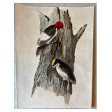 Original  Watercolor Bird Artwork by Geri Arnold Original  Watercolor Bird Artwork by Geri Arnold