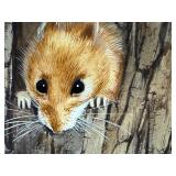 Original Geri Arnold Drawing of Woodland Mice, Unframed Original Geri Arnold Drawing of Woodland Mice, Unframed