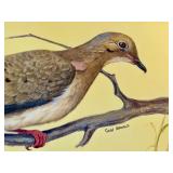 Original Geri Arnold Mourning Dove Bird Painting, Unframed Original Geri Arnold Mourning Dove Bird Painting, Unframed