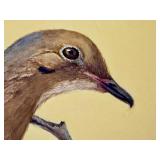 Original Geri Arnold Mourning Dove Bird Painting, Unframed Original Geri Arnold Mourning Dove Bird Painting, Unframed