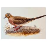 Original Geri Arnold Bird Drawing on Board 15 x 11 Inches Original Geri Arnold Bird Drawing on Board 15 x 11 Inches