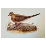 Original Geri Arnold Bird Drawing on Board 15 x 11 Inches Original Geri Arnold Bird Drawing on Board 15 x 11 Inches