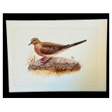 Original Geri Arnold Bird Drawing on Board 15 x 11 Inches Original Geri Arnold Bird Drawing on Board 15 x 11 Inches