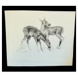 Original Black-and-White Drawing of Two Deer by Geri Arnold Original Black-and-White Drawing of Two Deer by Geri Arnold