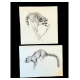Set of 2 Geri Arnold Original Wildlife Drawings: Raccoon and Squirrel Set of 2 Geri Arnold Original Wildlife Drawings: Raccoon and Squirrel
