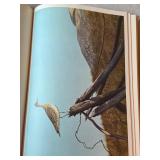 Set of 2 Bird Reference Books: The Shorebirds of North America & Lansdowne Birds of the West Coast Set of 2 Bird Reference Books: The Shorebirds of North America & Lansdowne Birds of the West Coast