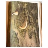 Set of 2 Bird Reference Books: The Shorebirds of North America & Lansdowne Birds of the West Coast Set of 2 Bird Reference Books: The Shorebirds of North America & Lansdowne Birds of the West Coast