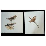 Set of 2 Original Geri Arnold Bird Drawings, Unframed Set of 2 Original Geri Arnold Bird Drawings, Unframed