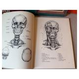 Lot of 4 Art Instruction Books on Portrait and Figure Drawing Lot of 4 Art Instruction Books on Portrait and Figure Drawing