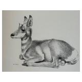 Set of 2 Geri Arnold Original Deer Drawings Set of 2 Geri Arnold Original Deer Drawings