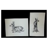 Set of 2 Geri Arnold Original Deer Drawings Set of 2 Geri Arnold Original Deer Drawings