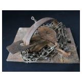 JUMP TRAP WITH TEETH