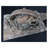 JUMP TRAP WITH TEETH