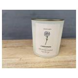 Teal Capricorn Glass Water Bottle and January Carnation Soy Candle - Brand New