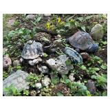 Assorted Ceramic Garden Sculptures - Turtles & Frogs