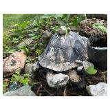 Assorted Ceramic Garden Sculptures - Turtles & Frogs