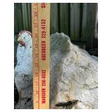 Large Natural Landscaping Stone for Garden Decor