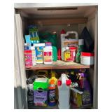 Outdoor Storage Cabinet with Contents and Decorative Birdcage