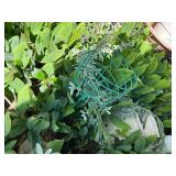 Vintage Garden Decor Collection: Watering Cans & Planters