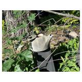 Vintage Garden Decor Collection: Watering Cans & Planters