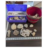 Collection of Fossil and Mineral Rocks with Storage Bin and Red Basket