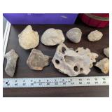 Collection of Fossil and Mineral Rocks with Storage Bin and Red Basket