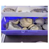 Collection of Fossil and Mineral Rocks with Storage Bin and Red Basket