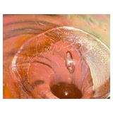 Iridescent Signed Art Glass Paperweight with Swirl Design