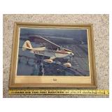 Framed Piper Colt Color Photograph by Anthony Linck