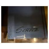 Framed Peanuts Comic Art Print 