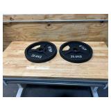 45 lb weight plates two pair (4x 45lb)