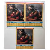 Misc. Vintage Posters Including 1973 Lake Of The Woods Map & More