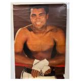 Misc. Vintage Posters Including 1973 Lake Of The Woods Map & More