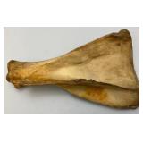 Wolf Painting On Animal Bone Wolf Painting On Animal Bone