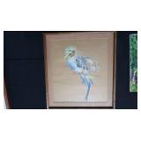Framed Pastel Drawing "George (My Bird)" by Catherine Deychmann