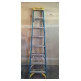 Werner Metal Ladder