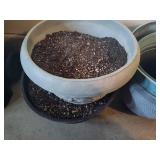 Assortment of XL Outdoor Pots