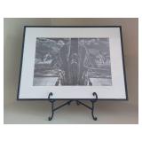 Black & White Signed Airplane Photo