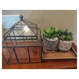 Metal Framed Glass Terrarium & Planters