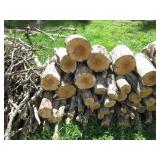 Nicely cut and stacked pile of wood... Nicely cut and stacked pile of wood...