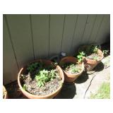 Variety of plastic and Terra cotta ... Variety of plastic and Terra cotta ...