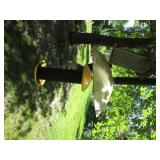 Small collection of outdoor bird fe... Small collection of outdoor bird fe...