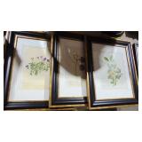 Set of 3 Botanical Prints and 2 Other Prints Set of 3 Botanical Prints and 2 Other Prints