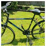 Giant Acapulco Bike Made in Taiwan / Shimono -70GS / Original Seat and Schwinn Gel Seat