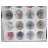 (FS) 20 Trout Flies A Treasure Sele... (FS) 20 Trout Flies A Treasure Sele...