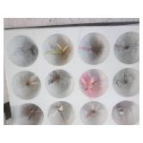 (FS) 20 Trout Flies A Treasure Sele... (FS) 20 Trout Flies A Treasure Sele...