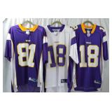 Minnesota Vikings NFL Jerseys Lot - Youth and Adult Sizes Minnesota Vikings NFL Jerseys Lot - Youth and Adult Sizes